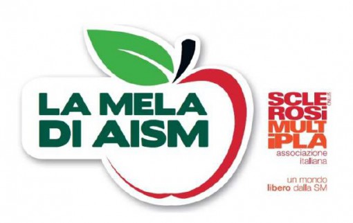 aism mela