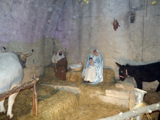 Presepe vivente Contadini della Brianza Albavilla dicembre 2014 (14)