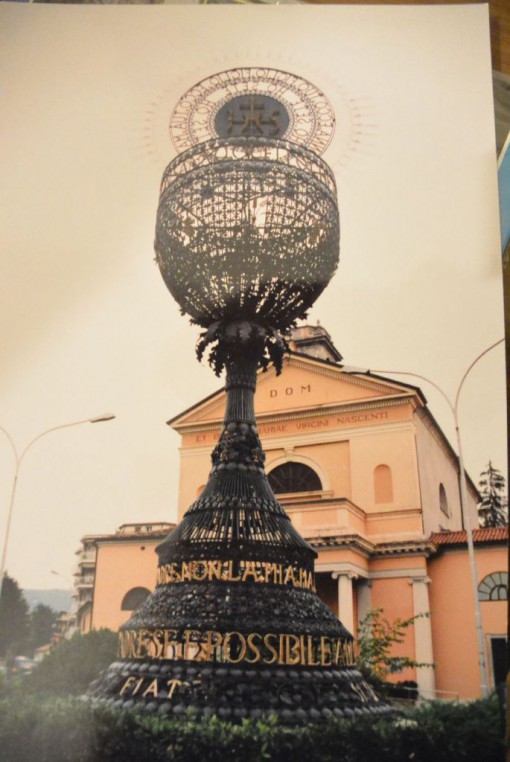 Calicione Erba gennaio 2015 (3)