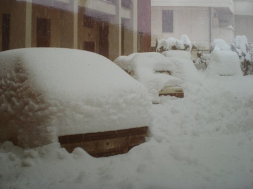Neve dell'85 Erba (1)