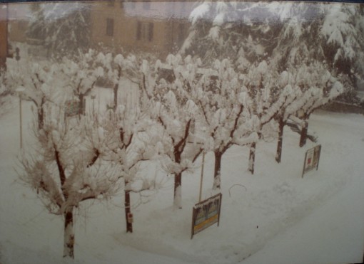 Neve dell'85 Erba (6)