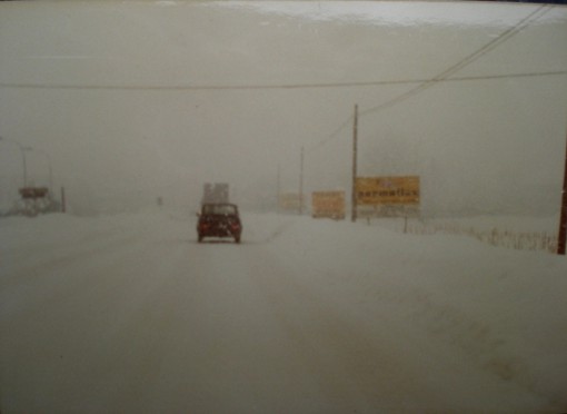 Neve dell'85 Erba (7)