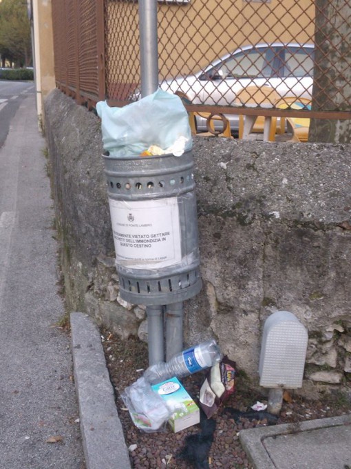 Spazzatura Ponte Lambro gennaio 2015 (3)