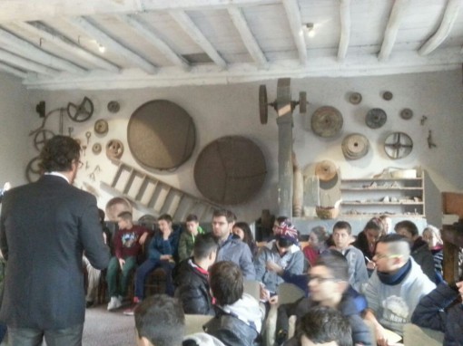 foto 2 (7)
