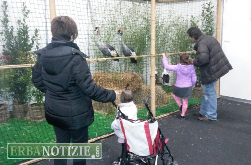 erba_lariofiere_esotika_2015_1 (5)