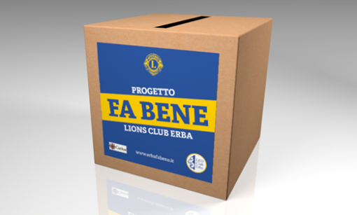 lions erba