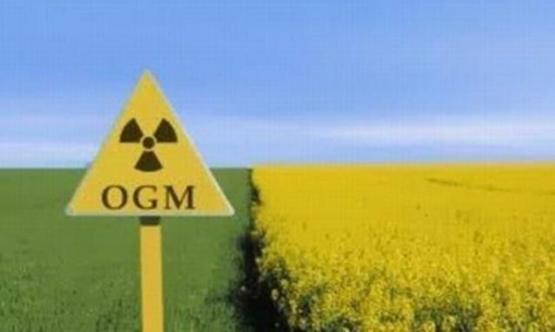 ogm