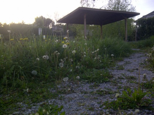 la situazione al parco di via Milano