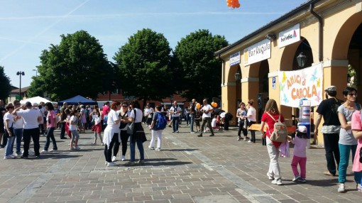 camminata amici di carola, maggio 2015, erba (3)