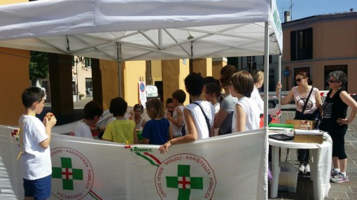 camminata amici di carola, maggio 2015, erba (4)
