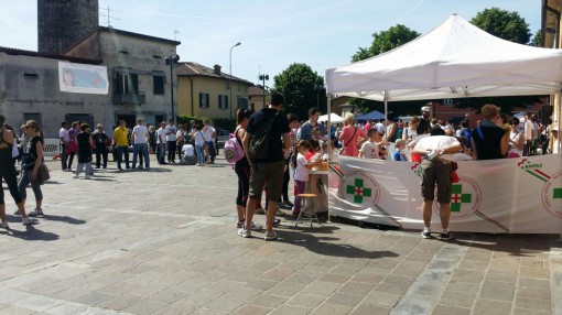 camminata amici di carola, maggio 2015, erba (5)
