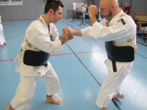 erba_associazioni_shorinjikempo_combattimento