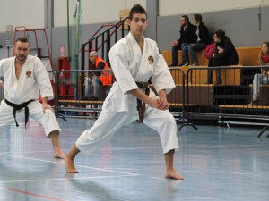 erba_associazioni_shorinjikempo_mossa