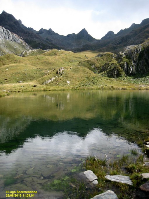 cai erba (2)