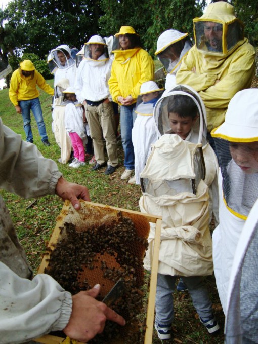 apiari