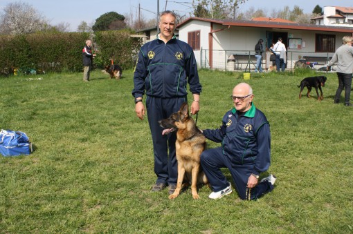 cino club lario, albese con cassano (2)