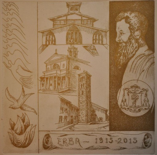 erba papa francesco (5)