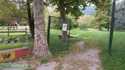 erba_parco_giochi_via_campolasso_buccinigo_2015 (4)