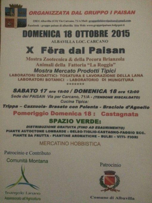 fiera paisan albavilla, ottobre 2015 (3)
