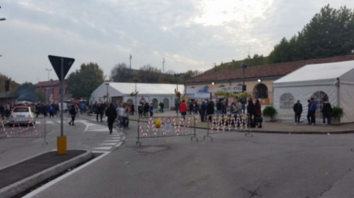 masigott 2015 (1)