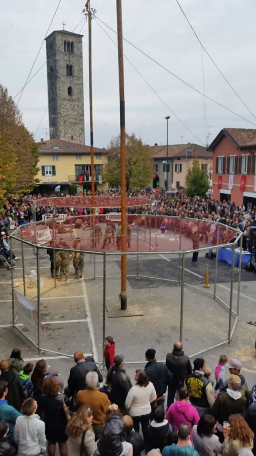 masigott 2015 (3)