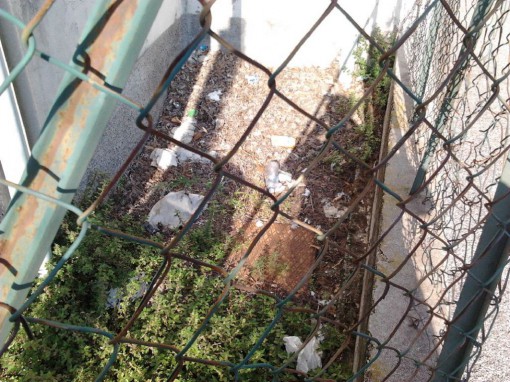 sporcizia e degrado in via fiume (3)