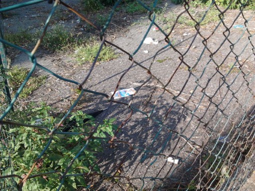 sporcizia e degrado in via fiume (4)