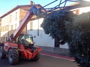 albero natale albavilla