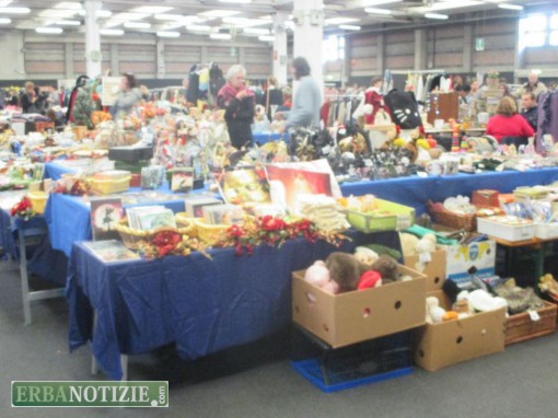 commercianti per un giorno, erba, novembre 2015 (12)