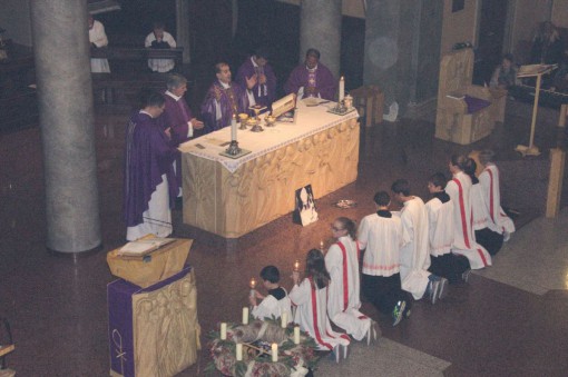 erba aristide pirovano (2)
