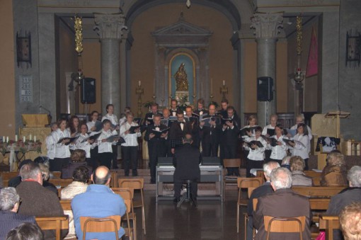 erba aristide pirovano (3)