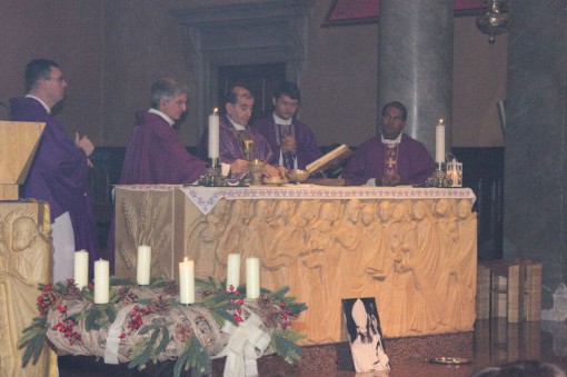 erba aristide pirovano (4)