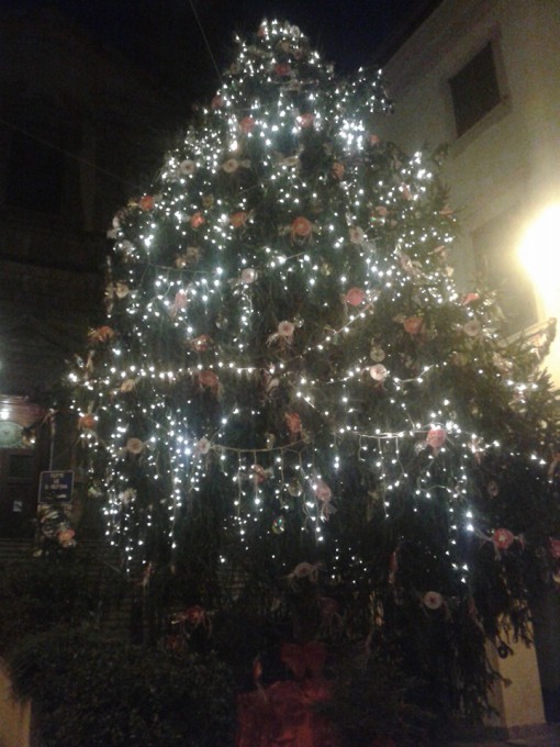 Asso_Albero_Natale_acceso_2015