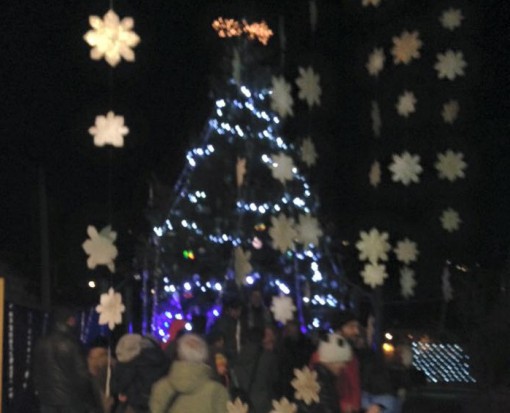 albero scuola ponte lambro