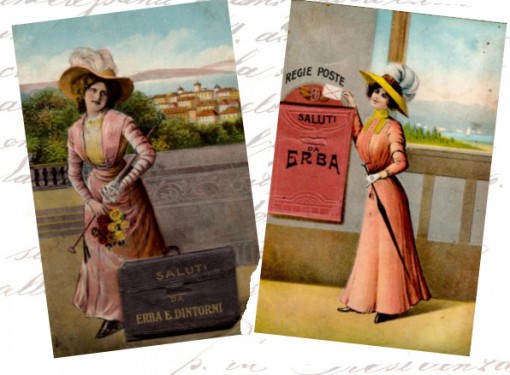 cartoline erba