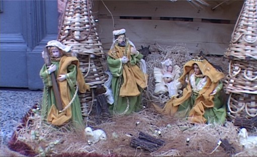 erba_presepe_mossi_2015 (1)