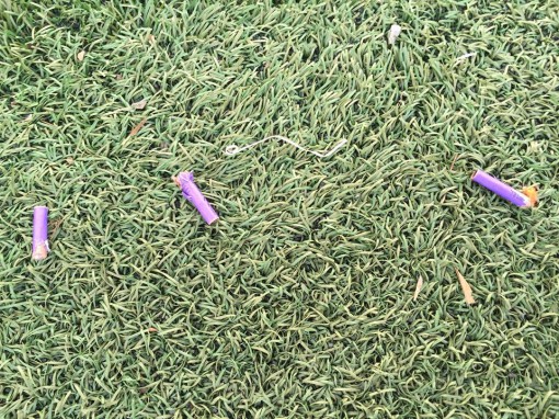 petardi nel campo sportivo pusiano