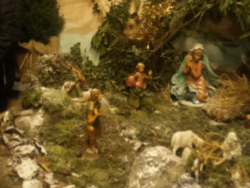presepe_ erba (12)