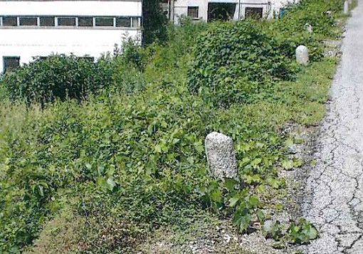 via manzoni erba