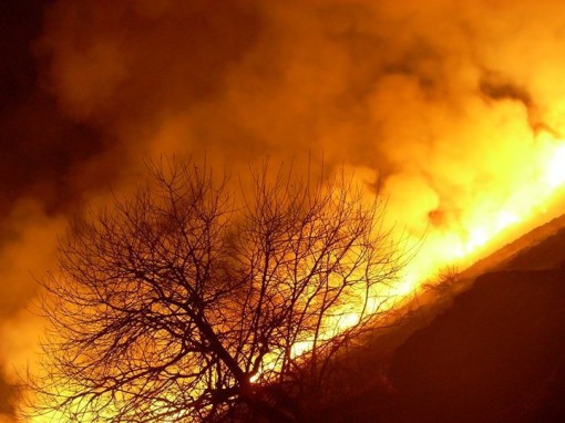 Incendio al Pian del Tivano (1)