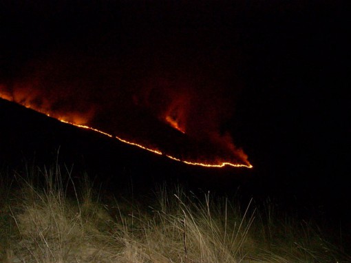 Incendio al Pian del Tivano (2)