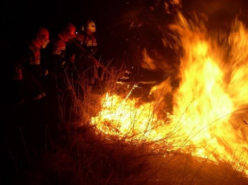 Incendio al Pian del Tivano (3)