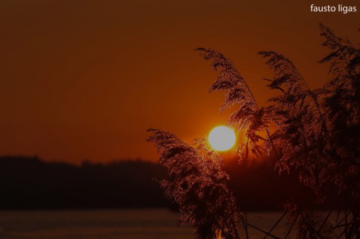 tramonti_fausto_ligas (1)