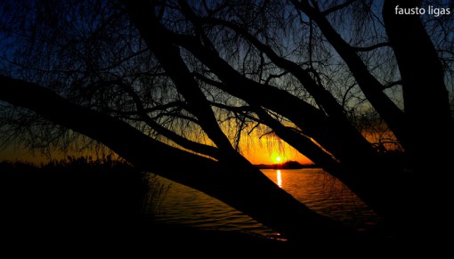 tramonti_fausto_ligas (4)