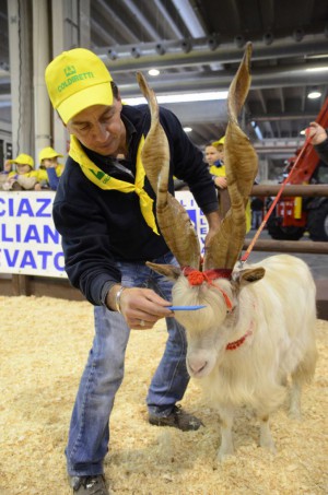 Capra in mostra a Verona
