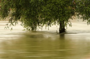 fiume