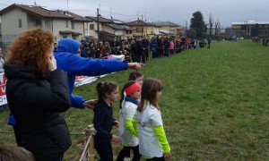 Erba_san_maurizio_campestre_2016 (3)