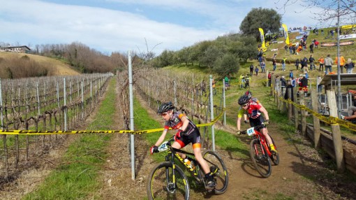 mtb_costa (6)