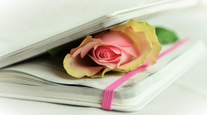 poesia_rosa