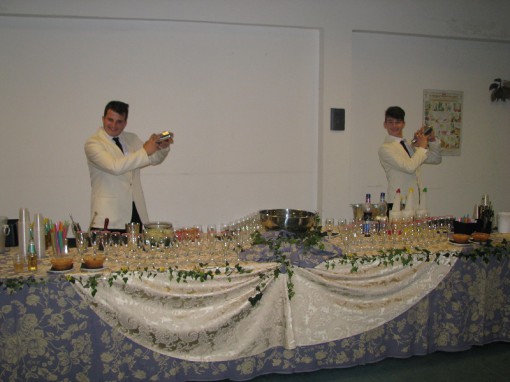 erba_romagnosi_cena_2016_3